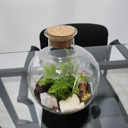 Downtown & Universita 2 Stanze Letto *