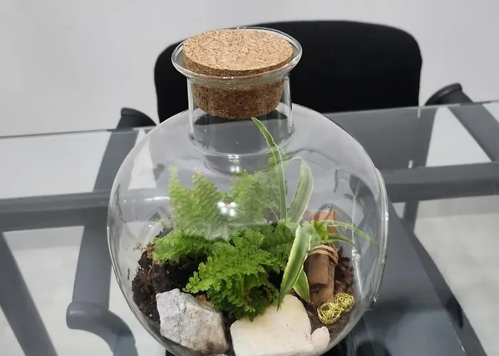 Downtown&università 2 Stanze Letto *